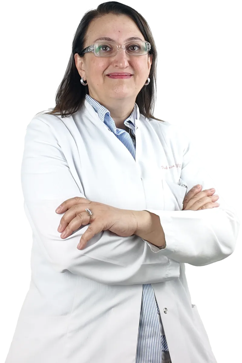 Prof. Dr. Betül Tavil