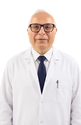 Prof. Dr. A. Levent Alpay